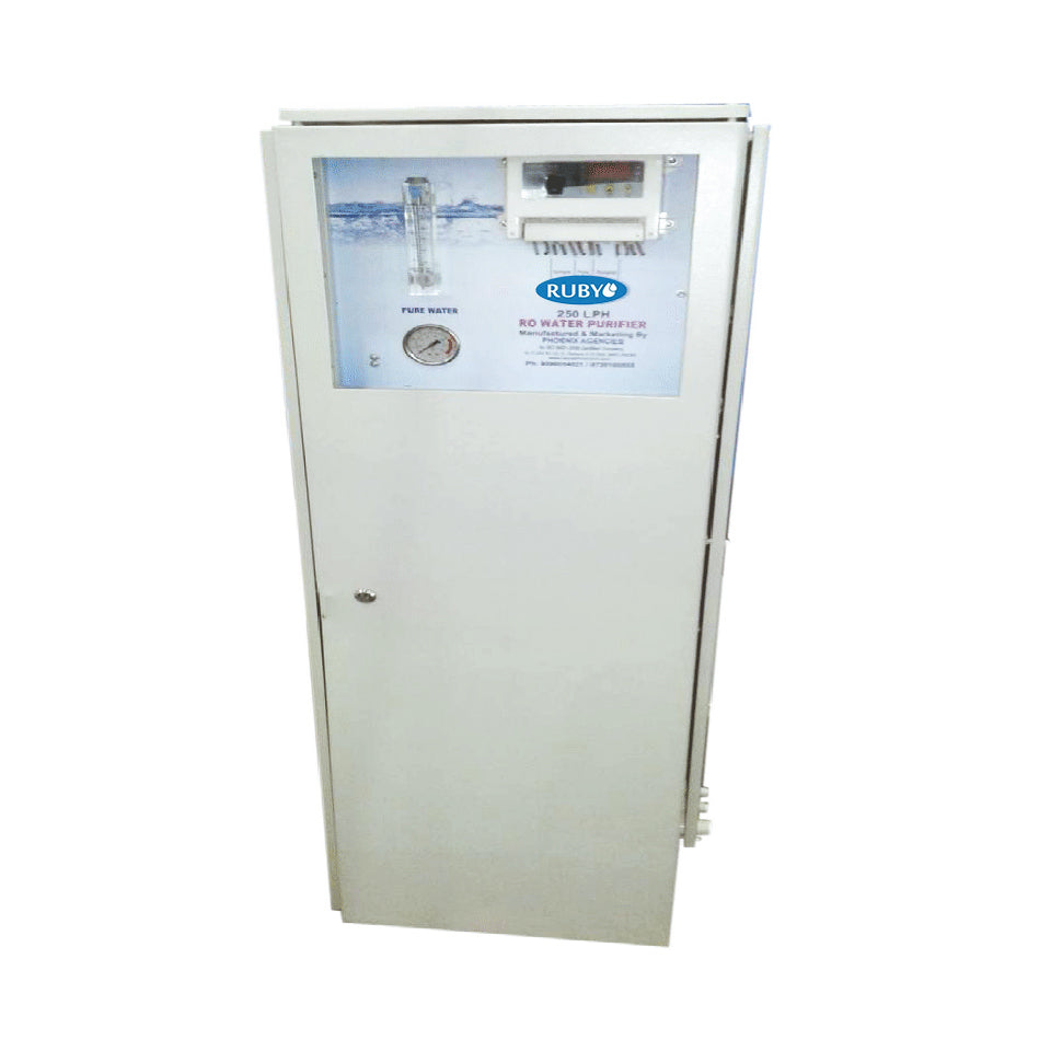 250 LPH RO Plant in Compact Cabinet